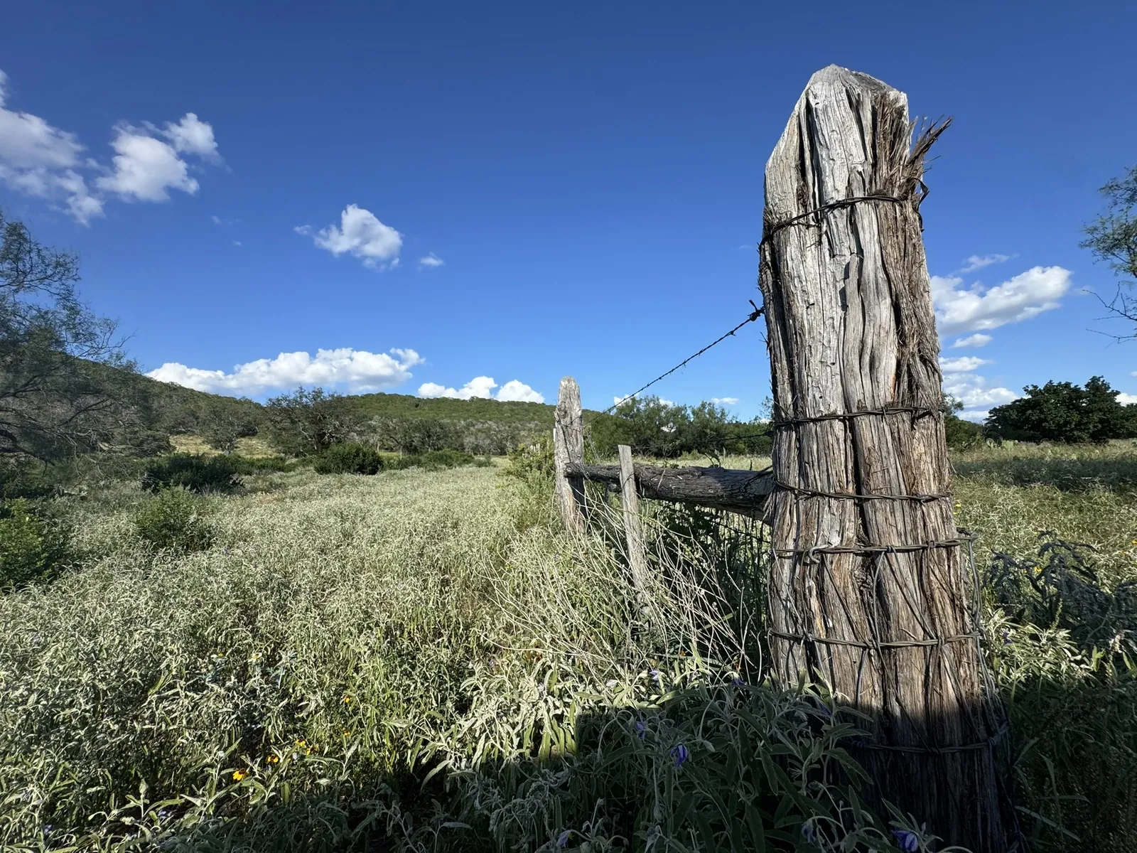 A weathered Texas ranch fence