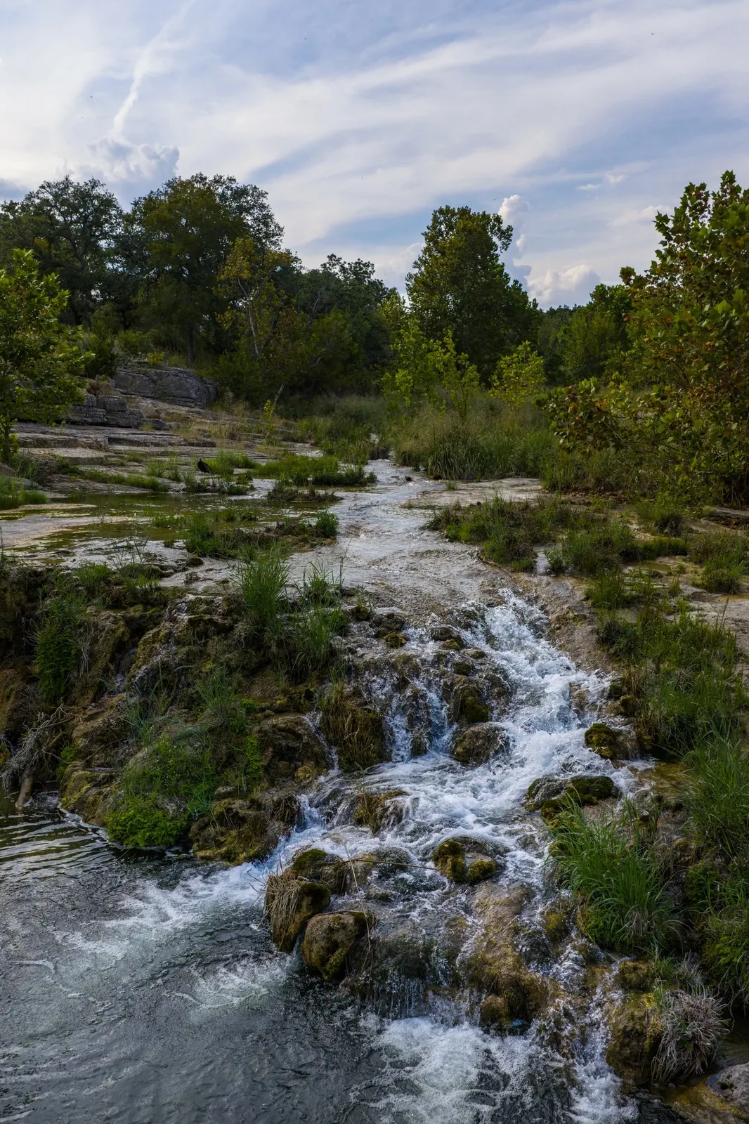 A clear stream through the ranch