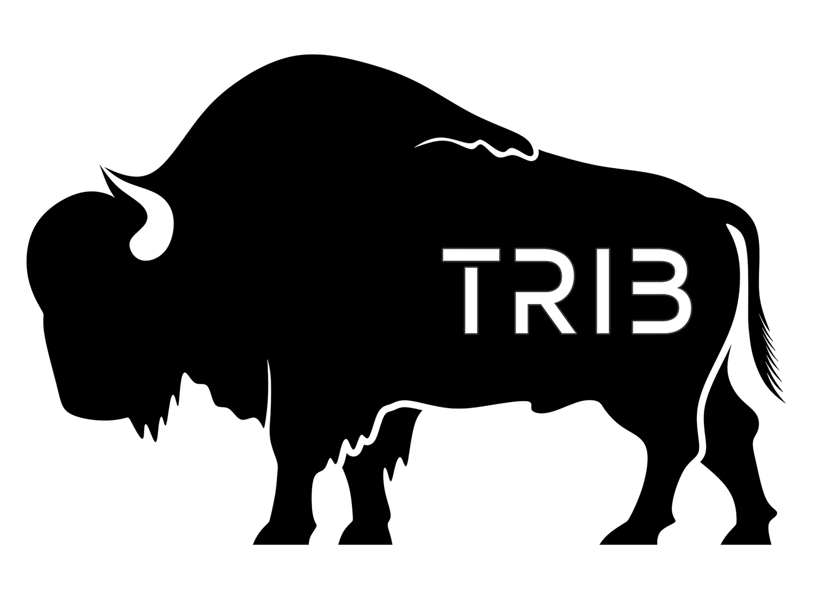 Tributary bison logo