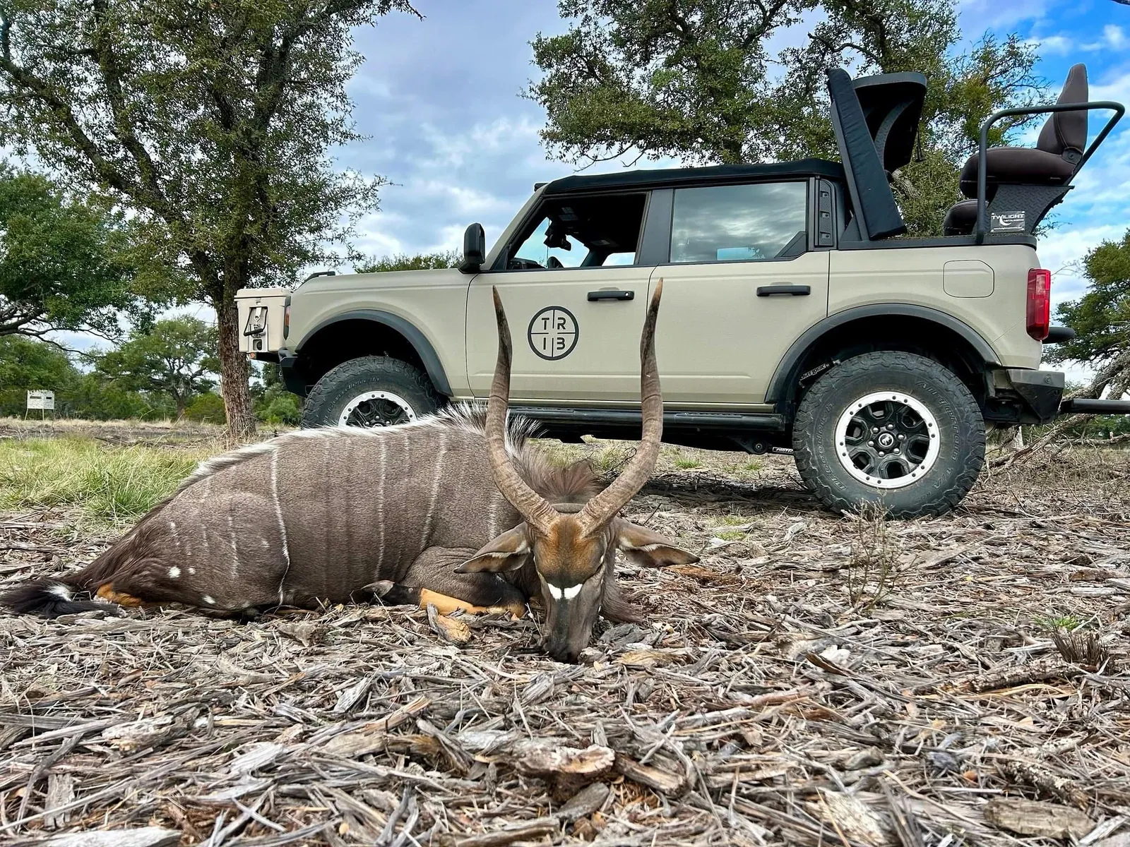 Kudu harvest beside a Tributary hunting vehicle